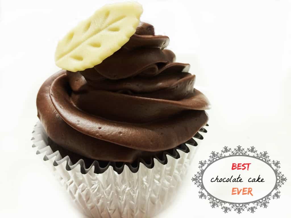 Best Eggless Chocolate Cake & Cupcakes