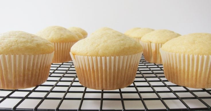 easy eggless vanilla cake and cupcakes