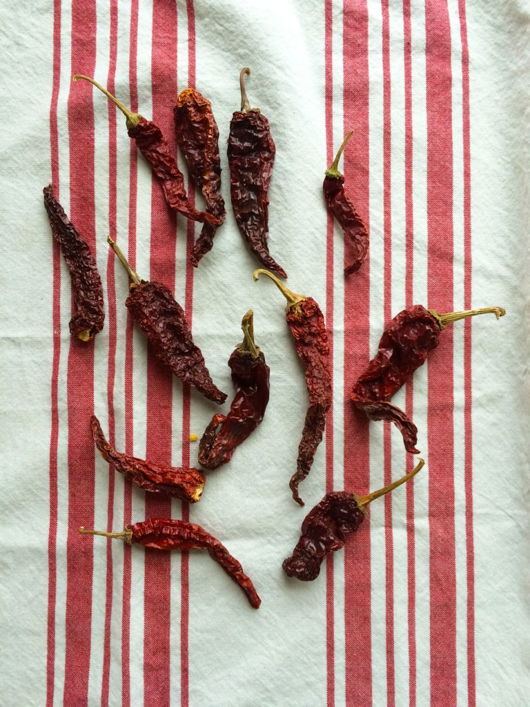 redcurrychillies