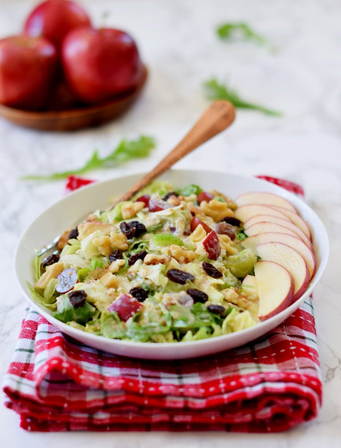 skinny-vegan-waldorf-salad1