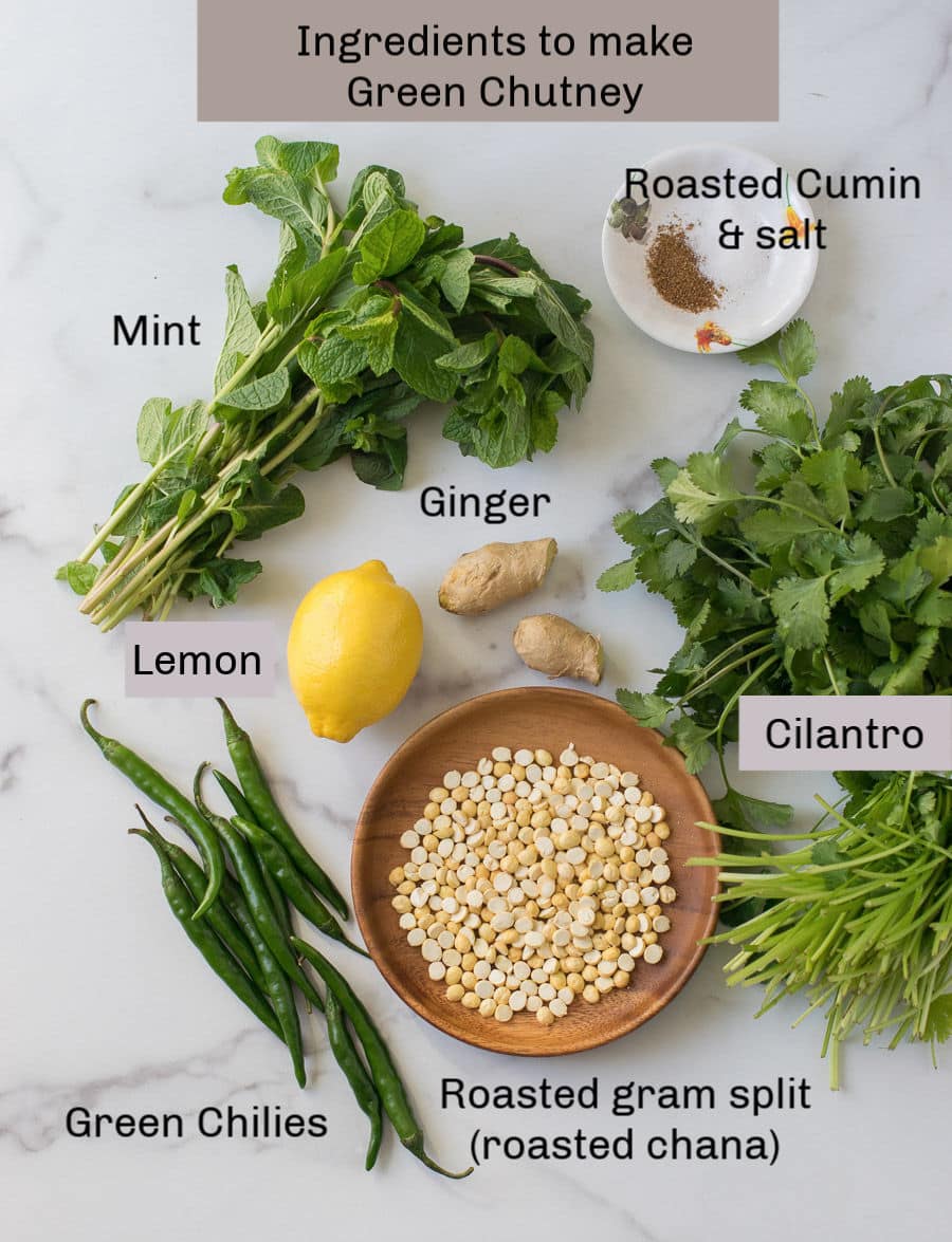 Ingredients to make cilantro mint chutney