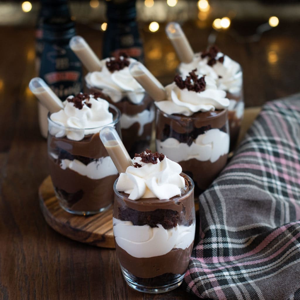 Baileys chocolate pudding trifle with alcohol shots in the pipettes.
